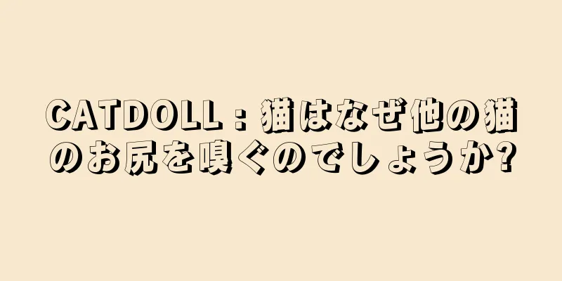 CATDOLL : 猫はなぜ他の猫のお尻を嗅ぐのでしょうか?
