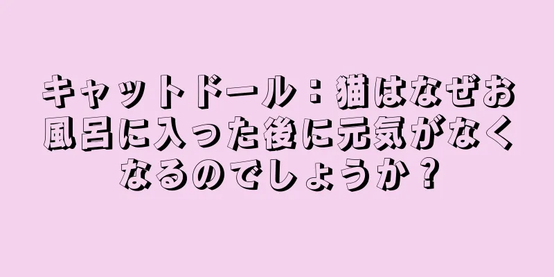 キャットドール：猫はなぜお風呂に入った後に元気がなくなるのでしょうか？