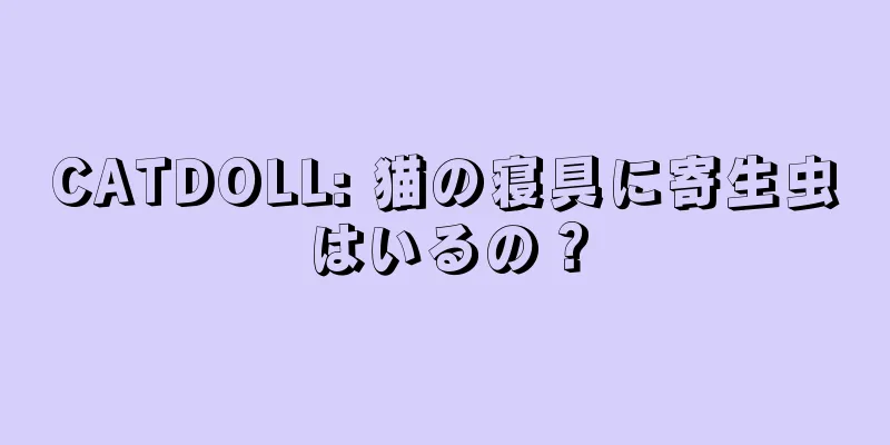 CATDOLL: 猫の寝具に寄生虫はいるの？