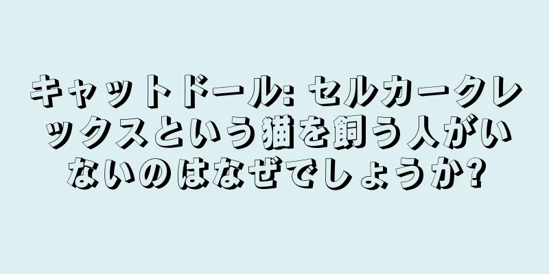 キャットドール: セルカークレックスという猫を飼う人がいないのはなぜでしょうか?
