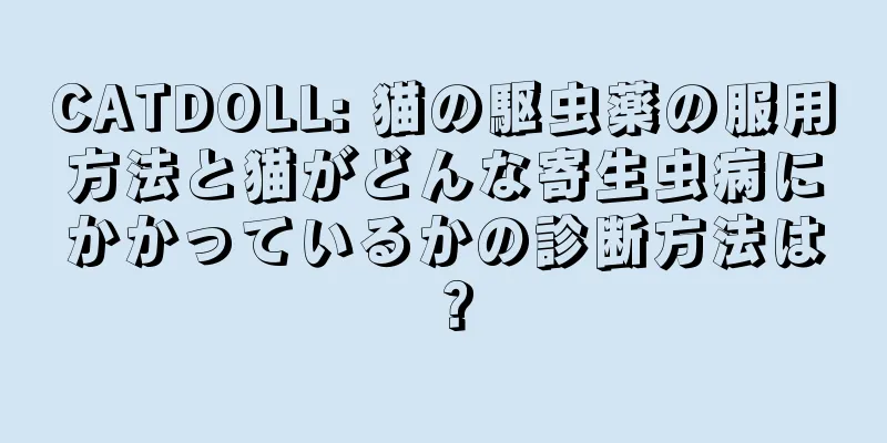 CATDOLL: 猫の駆虫薬の服用方法と猫がどんな寄生虫病にかかっているかの診断方法は？