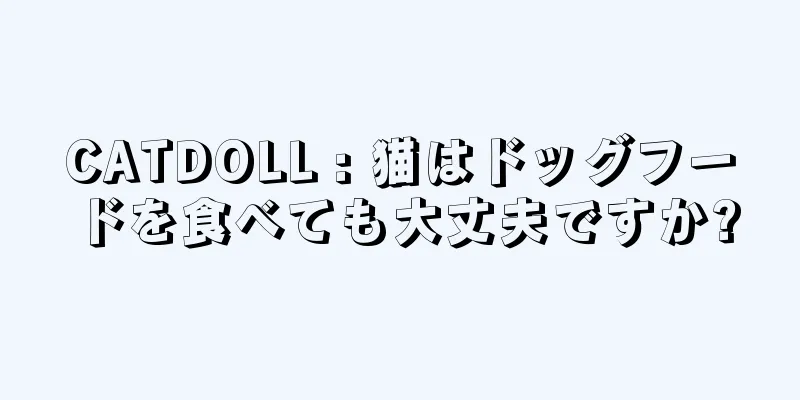CATDOLL : 猫はドッグフードを食べても大丈夫ですか?