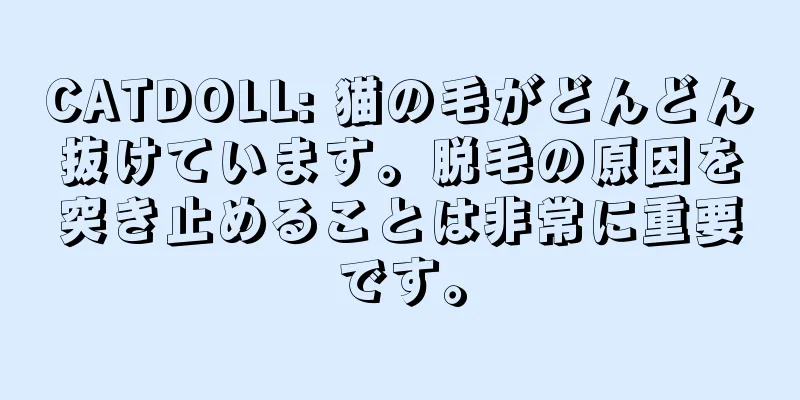 CATDOLL: 猫の毛がどんどん抜けています。脱毛の原因を突き止めることは非常に重要です。