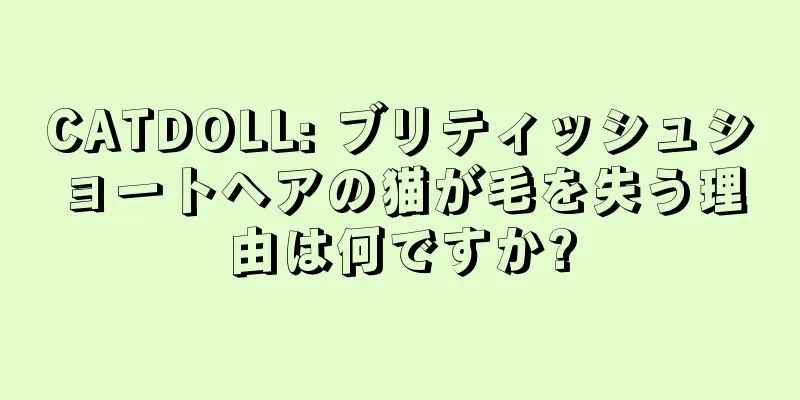 CATDOLL: ブリティッシュショートヘアの猫が毛を失う理由は何ですか?
