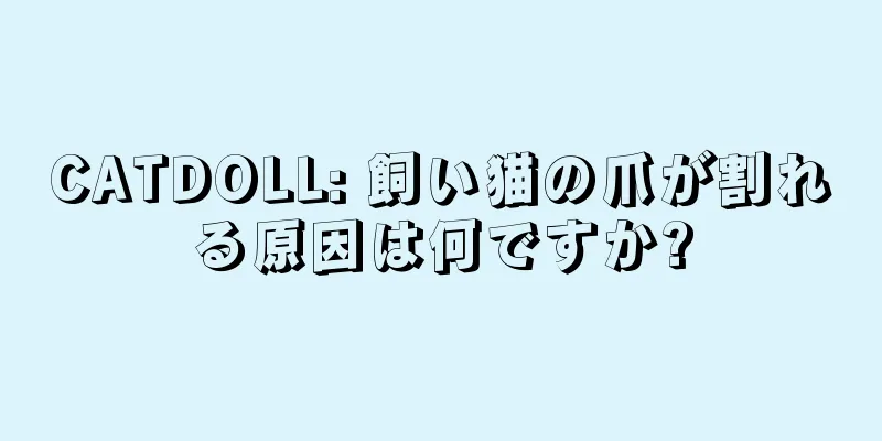 CATDOLL: 飼い猫の爪が割れる原因は何ですか?