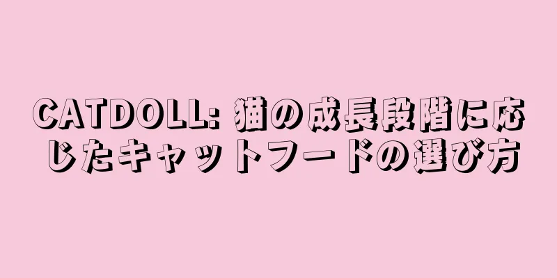 CATDOLL: 猫の成長段階に応じたキャットフードの選び方