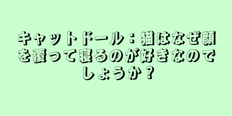 キャットドール：猫はなぜ顔を覆って寝るのが好きなのでしょうか？