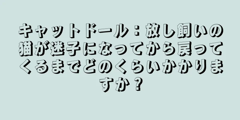 キャットドール：放し飼いの猫が迷子になってから戻ってくるまでどのくらいかかりますか？