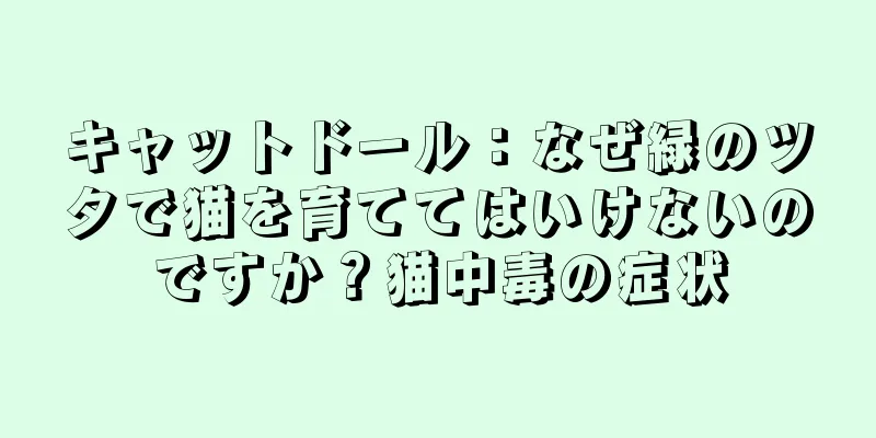 キャットドール：なぜ緑のツタで猫を育ててはいけないのですか？猫中毒の症状