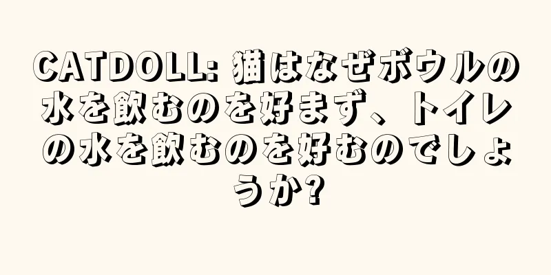 CATDOLL: 猫はなぜボウルの水を飲むのを好まず、トイレの水を飲むのを好むのでしょうか?