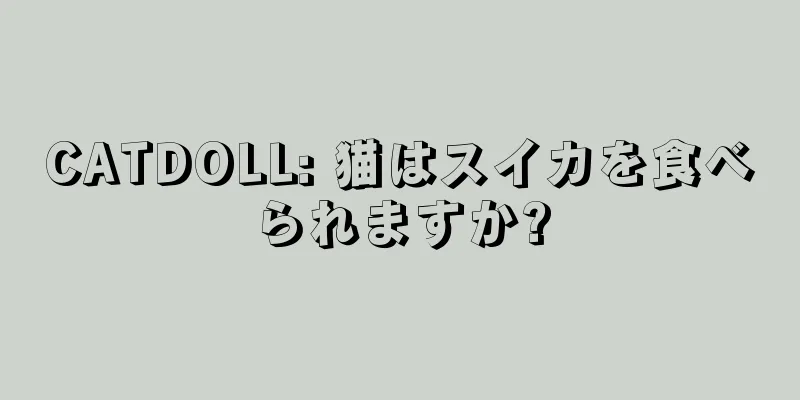 CATDOLL: 猫はスイカを食べられますか?