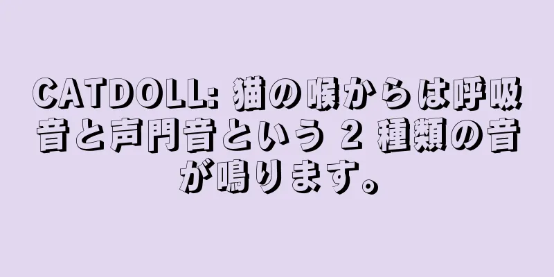 CATDOLL: 猫の喉からは呼吸音と声門音という 2 種類の音が鳴ります。