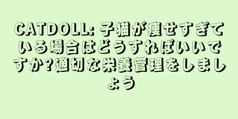 CATDOLL: 子猫が痩せすぎている場合はどうすればいいですか?適切な栄養管理をしましょう
