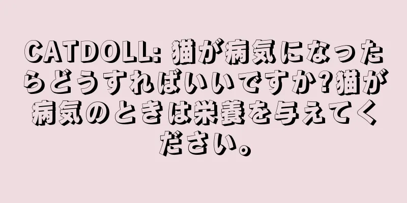 CATDOLL: 猫が病気になったらどうすればいいですか?猫が病気のときは栄養を与えてください。