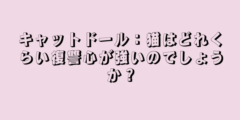 キャットドール：猫はどれくらい復讐心が強いのでしょうか？