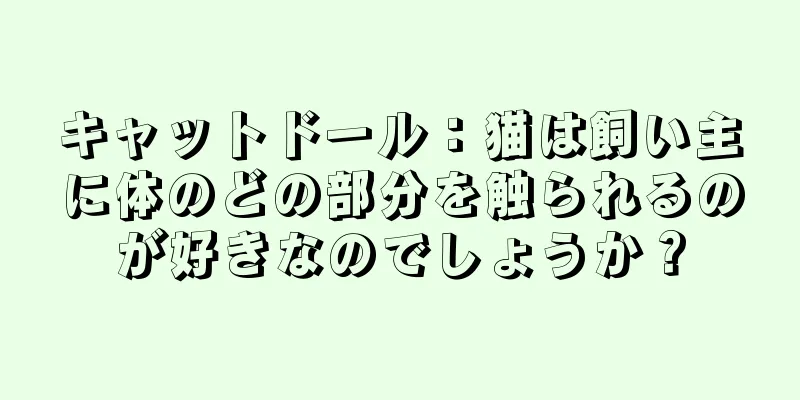 キャットドール：猫は飼い主に体のどの部分を触られるのが好きなのでしょうか？