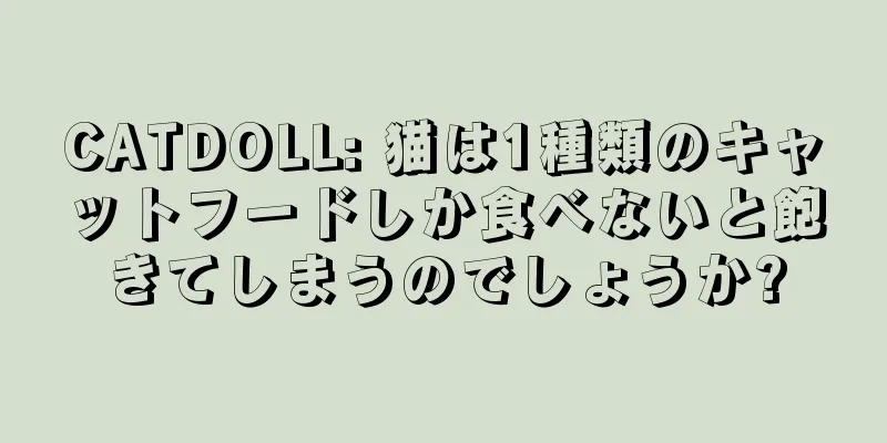 CATDOLL: 猫は1種類のキャットフードしか食べないと飽きてしまうのでしょうか?
