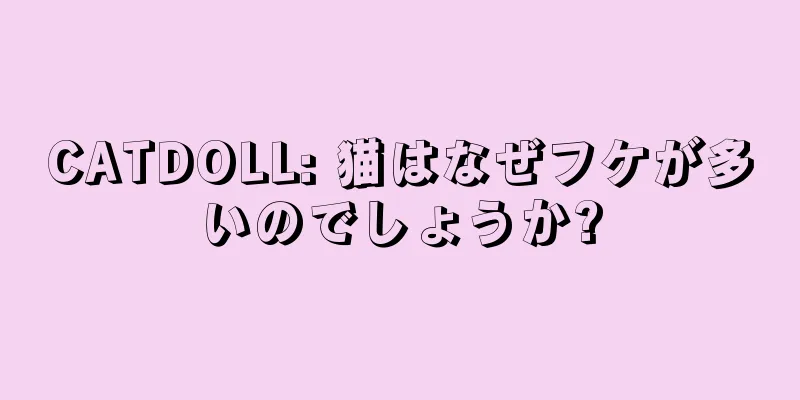 CATDOLL: 猫はなぜフケが多いのでしょうか?