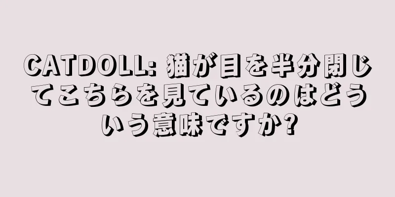 CATDOLL: 猫が目を半分閉じてこちらを見ているのはどういう意味ですか?