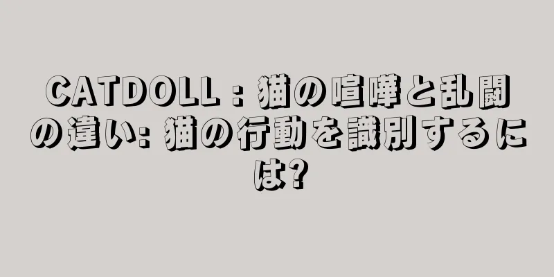 CATDOLL : 猫の喧嘩と乱闘の違い: 猫の行動を識別するには?