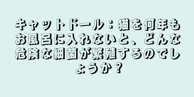 キャットドール：猫を何年もお風呂に入れないと、どんな危険な細菌が繁殖するのでしょうか？