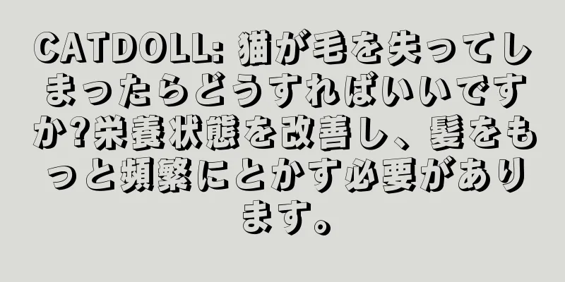 CATDOLL: 猫が毛を失ってしまったらどうすればいいですか?栄養状態を改善し、髪をもっと頻繁にとかす必要があります。