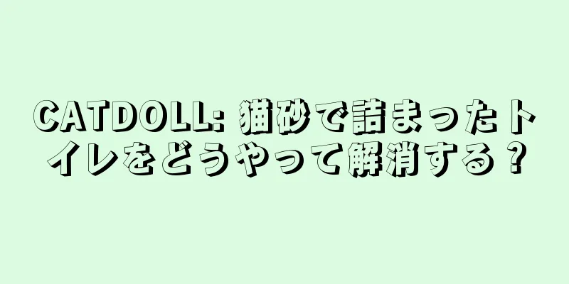 CATDOLL: 猫砂で詰まったトイレをどうやって解消する？
