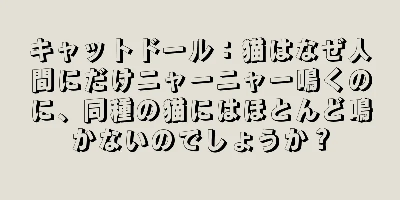 キャットドール：猫はなぜ人間にだけニャーニャー鳴くのに、同種の猫にはほとんど鳴かないのでしょうか？