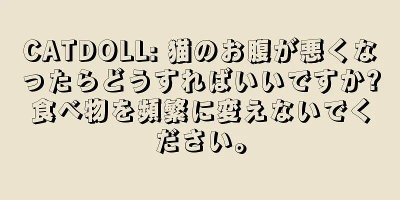CATDOLL: 猫のお腹が悪くなったらどうすればいいですか?食べ物を頻繁に変えないでください。