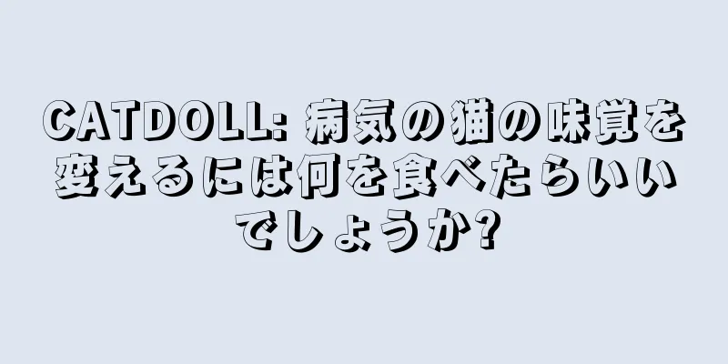 CATDOLL: 病気の猫の味覚を変えるには何を食べたらいいでしょうか?