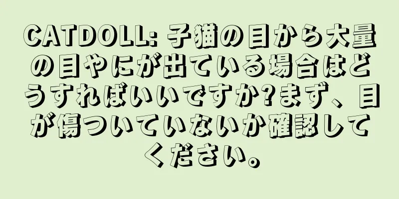 CATDOLL: 子猫の目から大量の目やにが出ている場合はどうすればいいですか?まず、目が傷ついていないか確認してください。