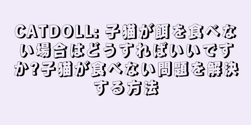 CATDOLL: 子猫が餌を食べない場合はどうすればいいですか?子猫が食べない問題を解決する方法