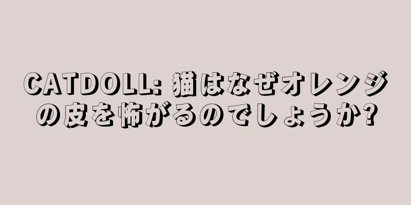 CATDOLL: 猫はなぜオレンジの皮を怖がるのでしょうか?