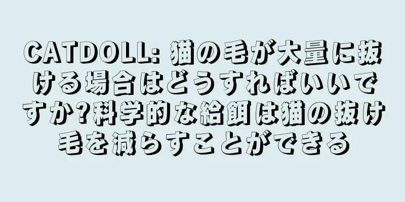 CATDOLL: 猫の毛が大量に抜ける場合はどうすればいいですか?科学的な給餌は猫の抜け毛を減らすことができる