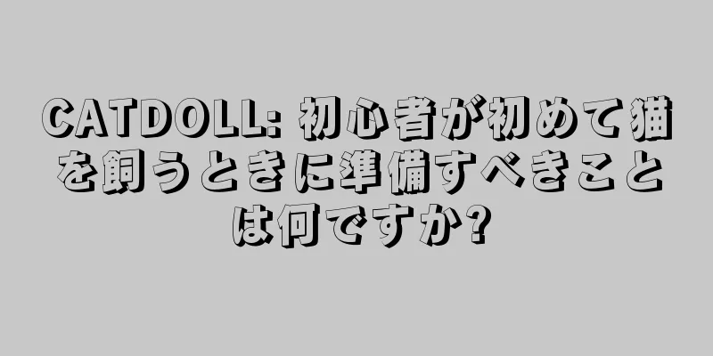CATDOLL: 初心者が初めて猫を飼うときに準備すべきことは何ですか?
