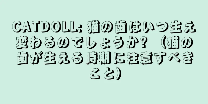 CATDOLL: 猫の歯はいつ生え変わるのでしょうか? （猫の歯が生える時期に注意すべきこと）