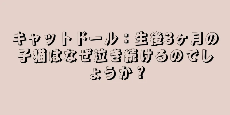 キャットドール：生後3ヶ月の子猫はなぜ泣き続けるのでしょうか？