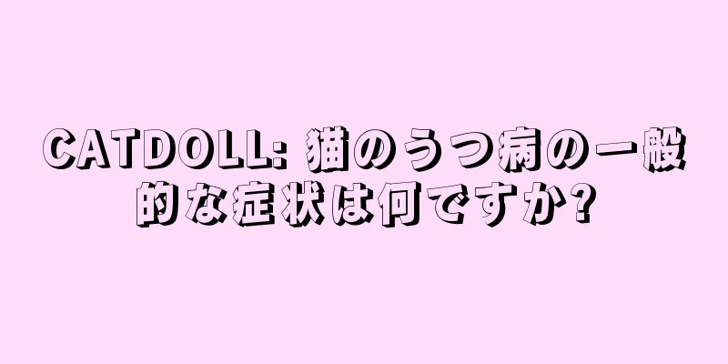 CATDOLL: 猫のうつ病の一般的な症状は何ですか?
