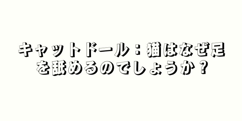 キャットドール：猫はなぜ足を舐めるのでしょうか？