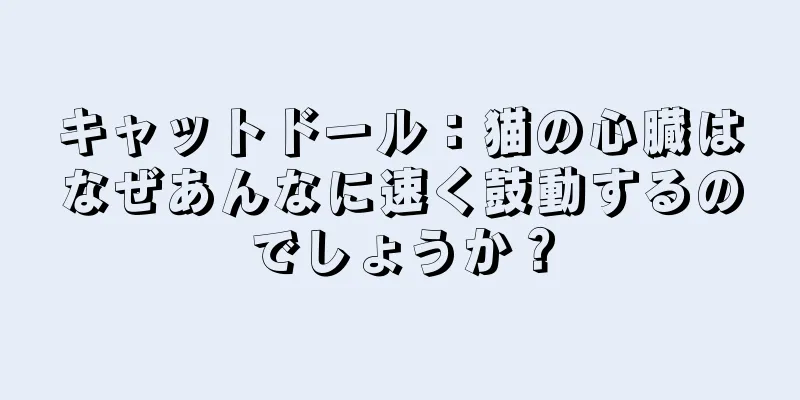 キャットドール：猫の心臓はなぜあんなに速く鼓動するのでしょうか？