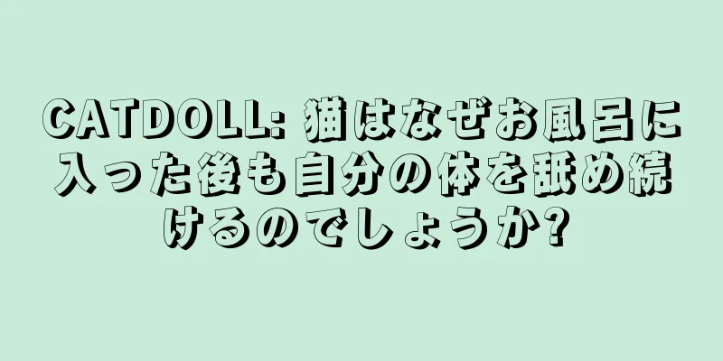 CATDOLL: 猫はなぜお風呂に入った後も自分の体を舐め続けるのでしょうか?