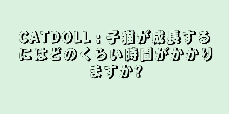 CATDOLL : 子猫が成長するにはどのくらい時間がかかりますか?