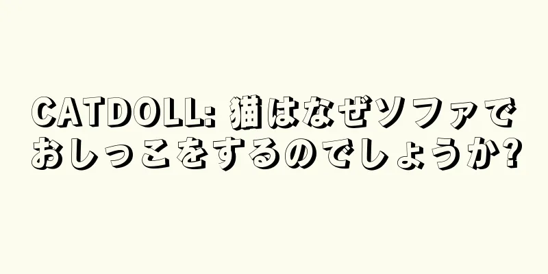 CATDOLL: 猫はなぜソファでおしっこをするのでしょうか?