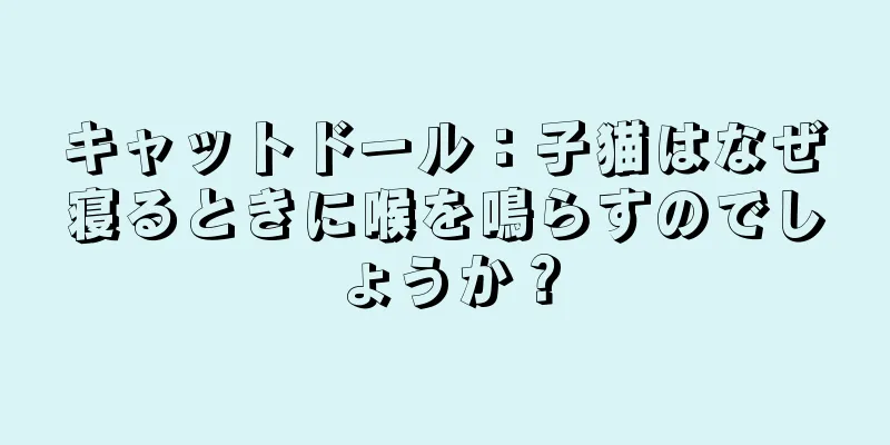 キャットドール：子猫はなぜ寝るときに喉を鳴らすのでしょうか？