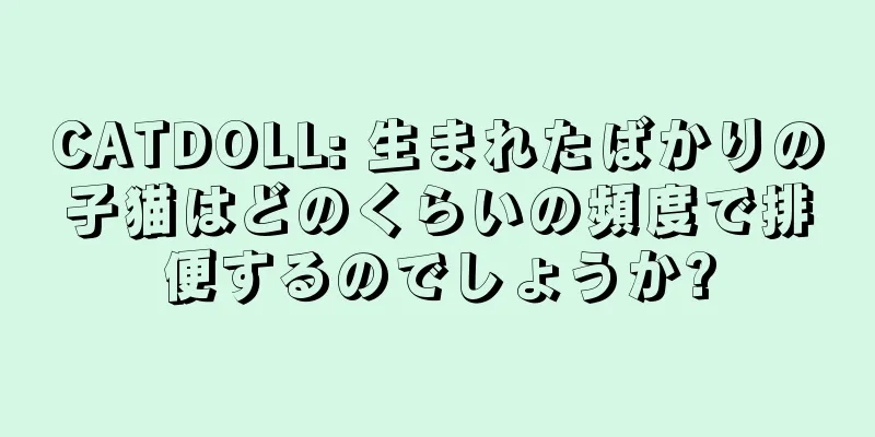 CATDOLL: 生まれたばかりの子猫はどのくらいの頻度で排便するのでしょうか?