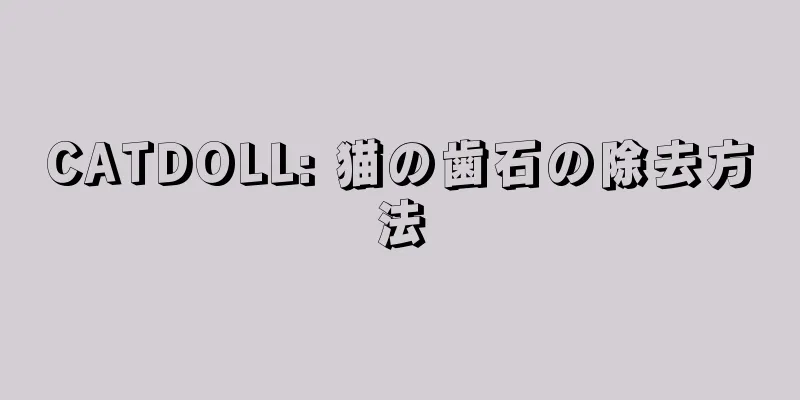 CATDOLL: 猫の歯石の除去方法