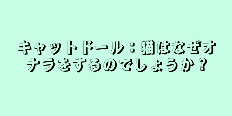キャットドール：猫はなぜオナラをするのでしょうか？