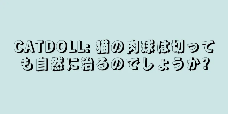 CATDOLL: 猫の肉球は切っても自然に治るのでしょうか?