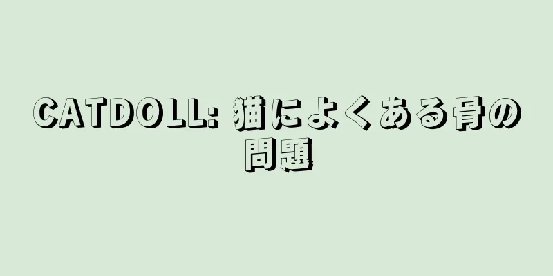 CATDOLL: 猫によくある骨の問題