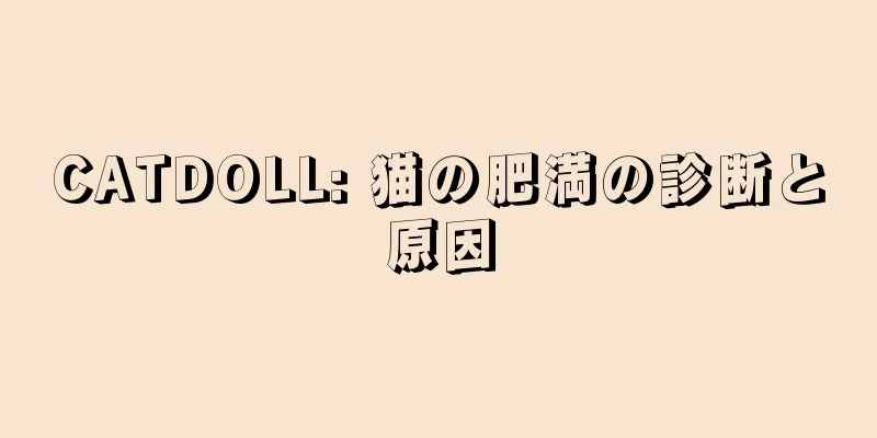 CATDOLL: 猫の肥満の診断と原因
